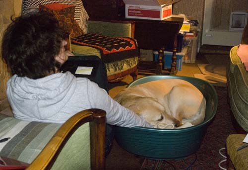 A large golden labrador is curled up in his new basket in front of the fire near to Maggie, his owner. She is wearing a grey jacket and has her back to us.